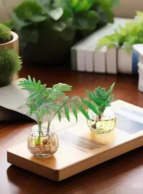 欧式风植物透明玻璃瓶装饰摆件