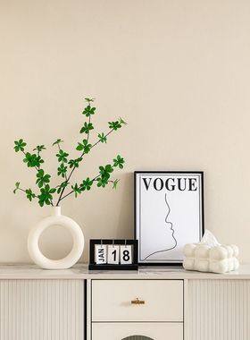 爆品现代简约客厅玄关装饰品摆件家居电视柜桌面绿植软装乔迁新居