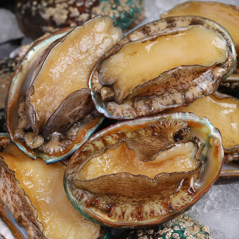 海洋演义速冻鲍鱼185g/*4包（到手32只）,淘宝优惠券,粉丝福利购,淘宝优惠卷