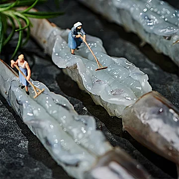 【海洋演义】盐冻新鲜大虾1650g[40元优惠券]-寻折猪