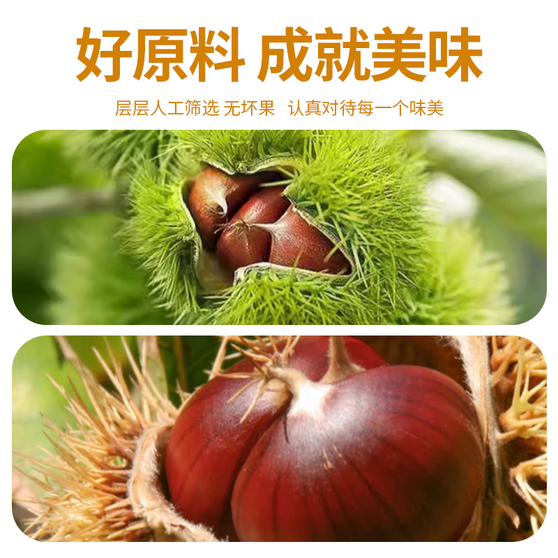 海洋演义板栗仁开袋即食干果休闲追剧食品无壳免剥零食