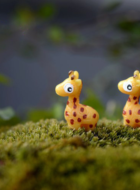 可爱风手工微观世界多肉小动物