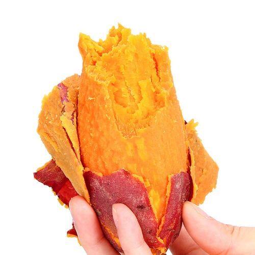 新鲜西瓜红纯甜蜜薯粉糯软红心地瓜 悦典食品番薯