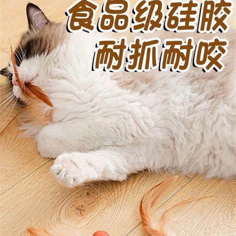 猫咪弹力球羽毛逗猫球猫玩具球自嗨解闷磨牙玩具球狗咬玩具球宠物,淘宝优惠券,粉丝福利购,淘宝优惠卷
