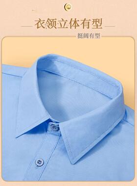 蓝色假领子秋冬搭配毛衣百搭Polo领韩版工作职业装工装内搭领子女