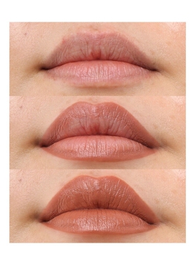 PROJECT LIP LIP PLUMP & FILL UP LINER 唇彩与唇笔 revolve小众