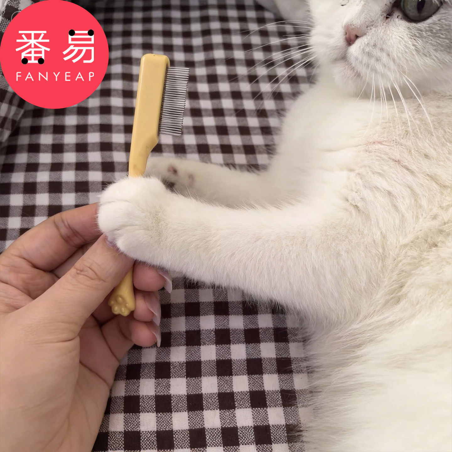 泪痕梳A1pq808-宠物眼部泪痕用梳子小型犬猫咪眼屎清洁用刷子,淘宝优惠券,粉丝福利购,淘宝优惠卷