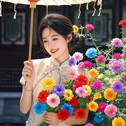 重瓣太阳花种子四季开花易活庭院花园阳台盆栽花卉混色种籽室内外 - 图1