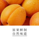 Shanyuanze semi-dry golden apricot zero fat individually packaged