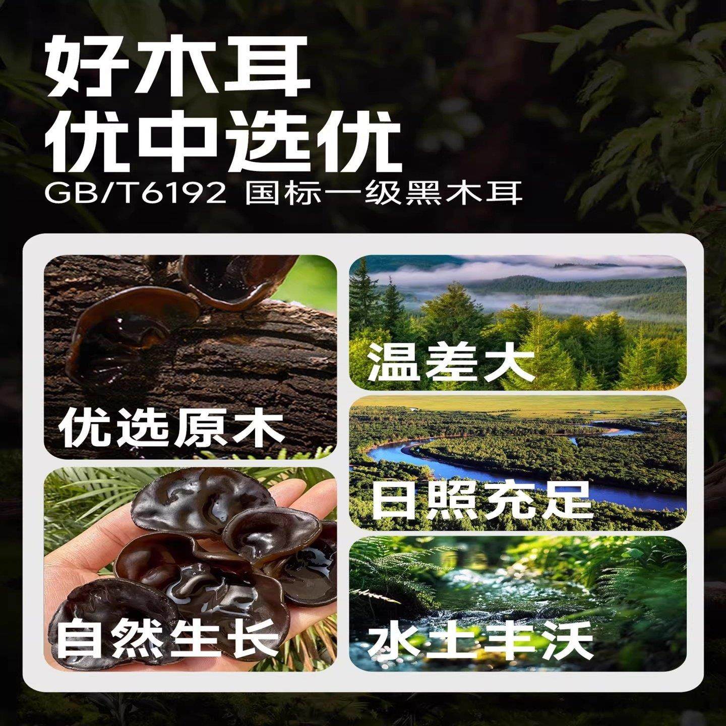 东北特产小碗耳木耳乾货特级官方旗舰店木耳东北小碗耳无硫凉拌,淘宝优惠券,粉丝福利购,淘宝优惠卷