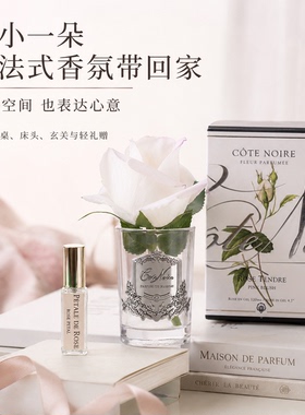 cotenoire无火香薰仿真花
