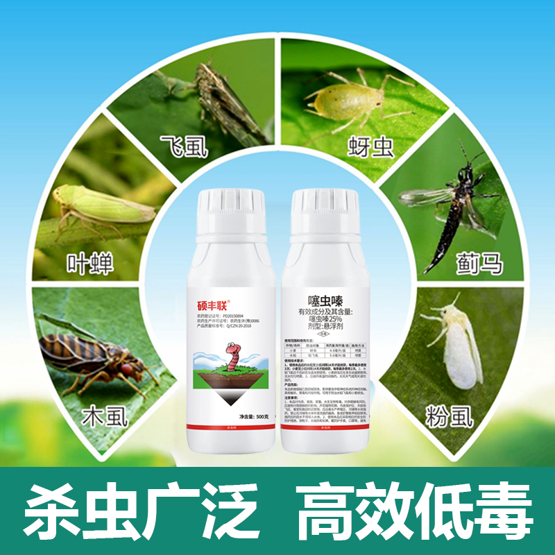 小麦杀虫剂噻虫嗪果树花卉蔬菜水稻白粉虱蚜虫蓟马稻飞虱叶蝉农药 - 图1