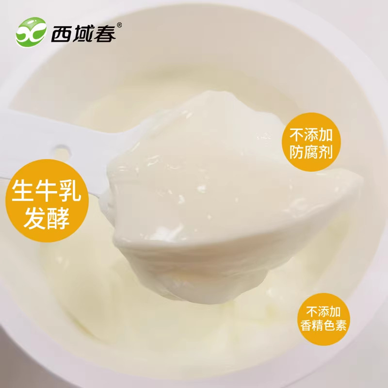 西域春奶皮子酸奶130g*12杯成人学生营养酸奶【泡沫箱冰袋发货】,淘宝优惠券,粉丝福利购,淘宝优惠卷
