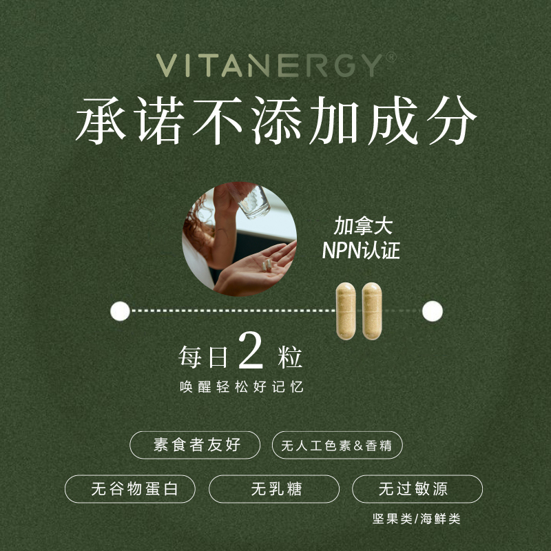 脑活素银杏叶精华胶囊脑动力ps磷脂酰丝氨酸中老年人记忆力专注力