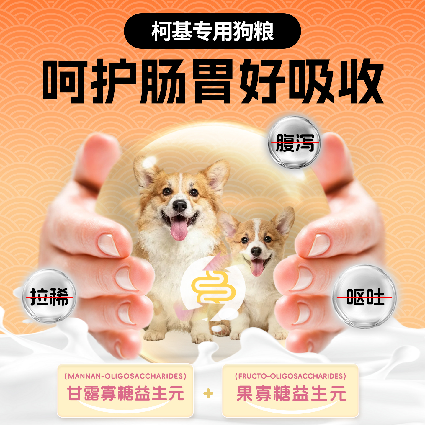 柯基专用狗粮10斤装幼犬成犬无谷轻泪痕美毛丰臀中小型犬全价冻干 - 图2