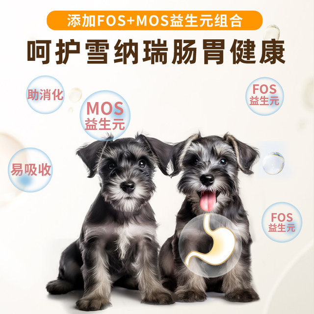 ໝານ້ອຍພິເສດ Schnauzer ຜົມງາມຫົກປ່ຽງທີ່ແຫ້ງແລ້ງ