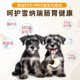 ໝານ້ອຍພິເສດ Schnauzer ຜົມງາມຫົກປ່ຽງທີ່ແຫ້ງແລ້ງ