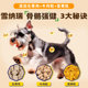 ໝານ້ອຍພິເສດ Schnauzer ຜົມງາມຫົກປ່ຽງທີ່ແຫ້ງແລ້ງ