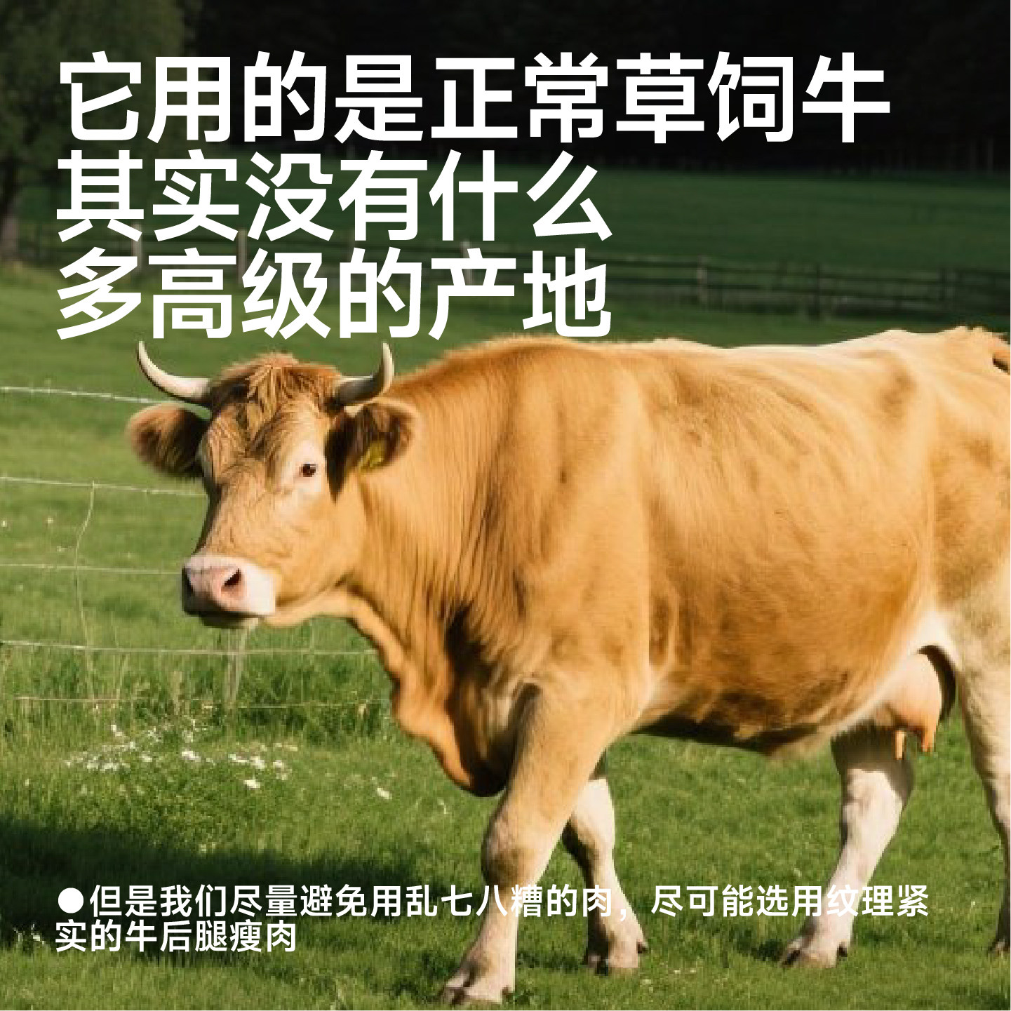 无趣的店麻辣牛肉干100g蒙古卤牛肉条冷吃牛肉即食办公室特产零食,淘宝优惠券,粉丝福利购,淘宝优惠卷