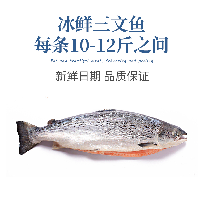 一整条冰鲜挪威三文鱼10-12斤 新鲜生鱼片刺身中段鲑鱼即食海鲜 - 图0