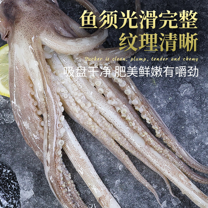 新鲜鱿鱼头鲜活冷冻新鲜鱿鱼须章鱼足尤鱼须八爪鱼腿烧烤铁板商用