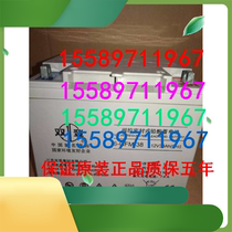 Double Den 6-GFM-38 Lead-acid Maintenance Storage Battery 12V38AH Device UPS Emergency Power Private