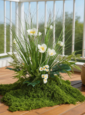 仿真绿植苔藓客厅落地景观装饰品