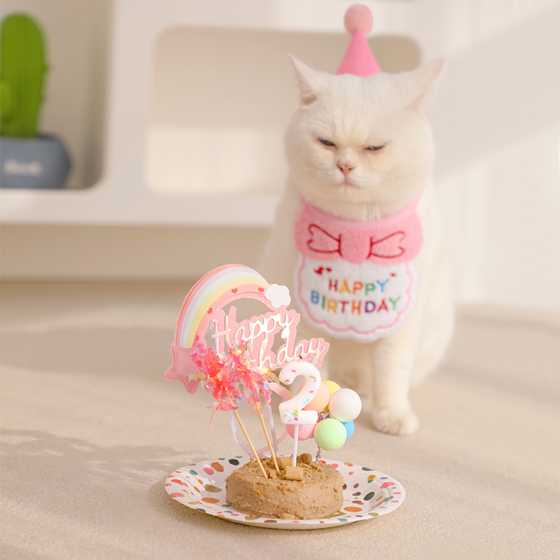 猫咪生日装扮猫猫小猫小狗过生日布置蛋糕装饰宠物狗狗围兜帽子 - 图1