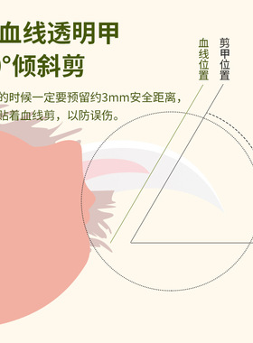 宠物电动指甲剪带磨甲刀