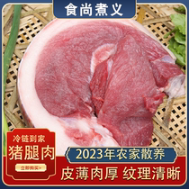 Fresh Now Kill Groundhog Front Leg Meat rear leg meat Fresh Pig Leg Meat Elbows Meat Chongqing farmhouse Feeding black and white groundhog
