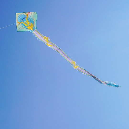 Flying 6-meter dragon and soaring kite are easy to fly in the breeze