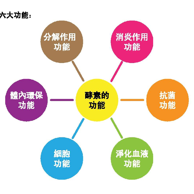 进口火龙果酵素原液饮品植物果蔬水果汁孝素益生菌孕妇饮料500ml,淘宝优惠券,粉丝福利购,淘宝优惠卷