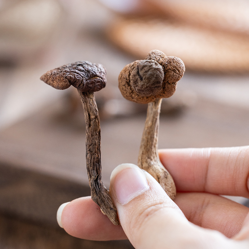 珊初物东北特产野生榛蘑丁干货小鸡炖蘑菇长白山臻蘑非特级无根新 - 图0