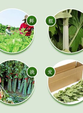 艾草驱蚊祈福泡澡挂们