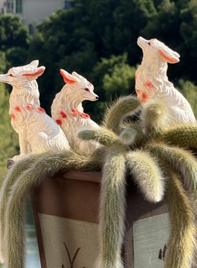 狐狸摆件多肉盆栽尾巴工艺花小品