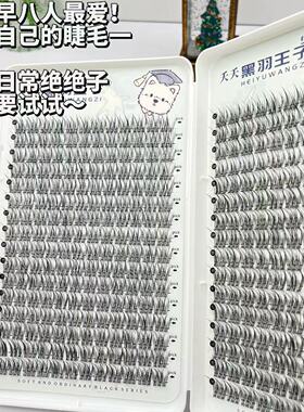 三连鱼尾婴儿直睫毛书假睫毛