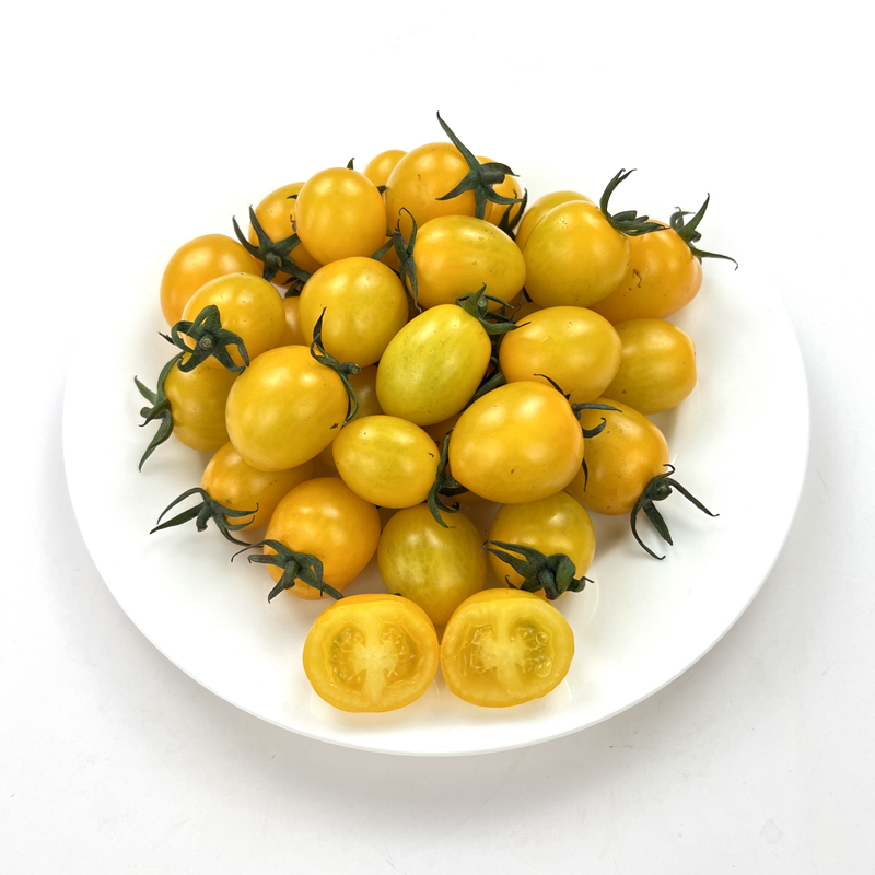 黄色小番茄500g 夏日阳光小番茄圣女果当季新鲜水果蔬菜沙拉食材 - 图1