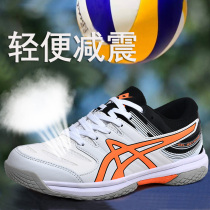 aiesocais professional volleyball shoes male and female shock absorbing breathable ball special table tennis match training shoes