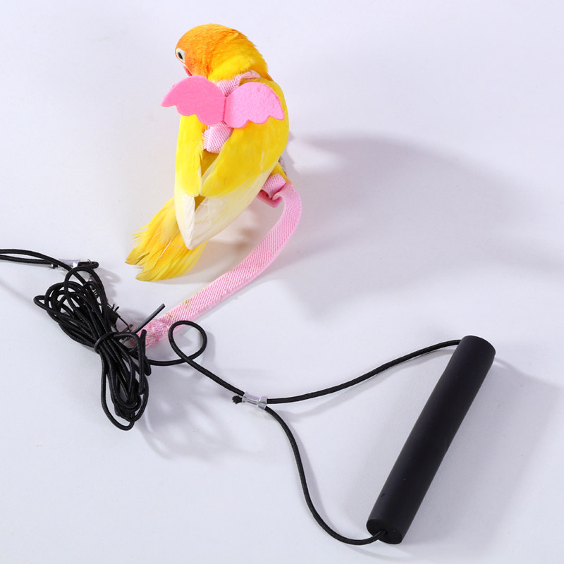 鹦鹉牵引绳超轻不勒外出背带训练溜鹦鹉鸟神器虎皮牡丹玄凤放飞绳,淘宝优惠券,粉丝福利购,淘宝优惠卷