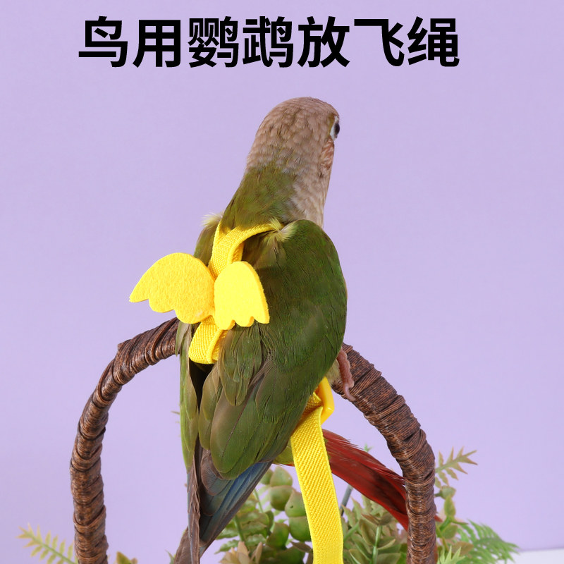 鹦鹉牵引绳超轻不勒外出背带训练溜鹦鹉鸟神器虎皮牡丹玄凤放飞绳,淘宝优惠券,粉丝福利购,淘宝优惠卷