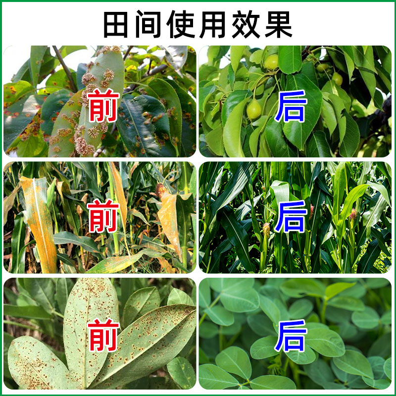 梨树锈病专用药玉米大葱豆角花椒树米鲜安咪鲜胺农药杀菌剂农用 - 图1