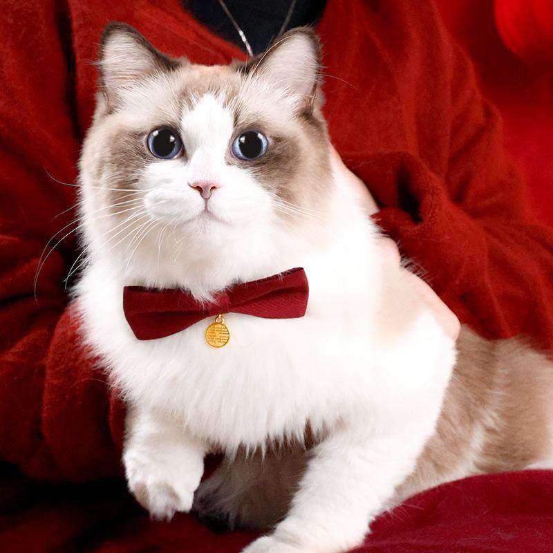 宠物饰品项圈蝴蝶结猫狗领结宠物领结项圈红色双喜领结宠物口水巾,淘宝优惠券,粉丝福利购,淘宝优惠卷