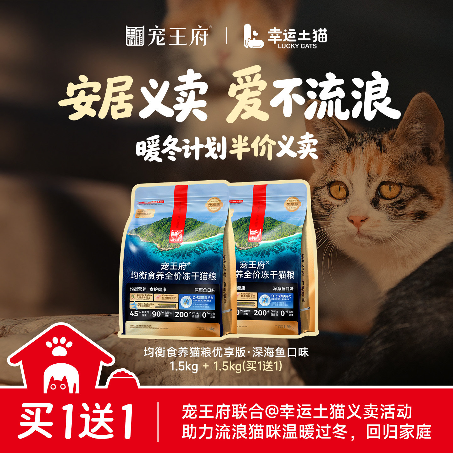 【拍一送一】宠王府×幸运土猫暖冬义卖猫粮猫主食罐,淘宝优惠券,粉丝福利购,淘宝优惠卷