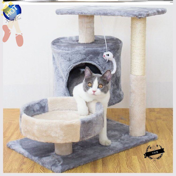 猫树玩推荐品牌 新人首单立减十元 21年6月 淘宝海外