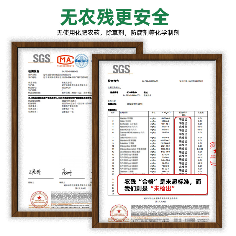 有机荞麦面粉2023秋新粮纯荞麦面低筋杂粮面粉无添加有机面粉2斤-图3