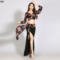 Autumn and winter Modale belly dance with big code display slim V collar blouses oriental dance performance performance wear long sleeves