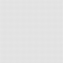 Military version US Air Force Security police Anti-cold cotton jacket US USAF Cold-proof and rain-proof cotton clothing