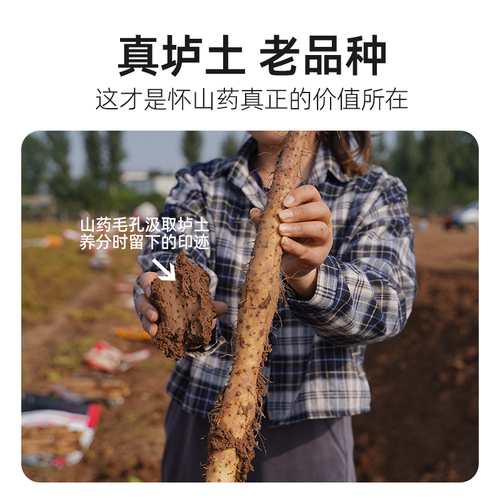 断短山药新鲜现挖铁棍山药河南焦作正宗垆土试吃便宜3斤起5斤装