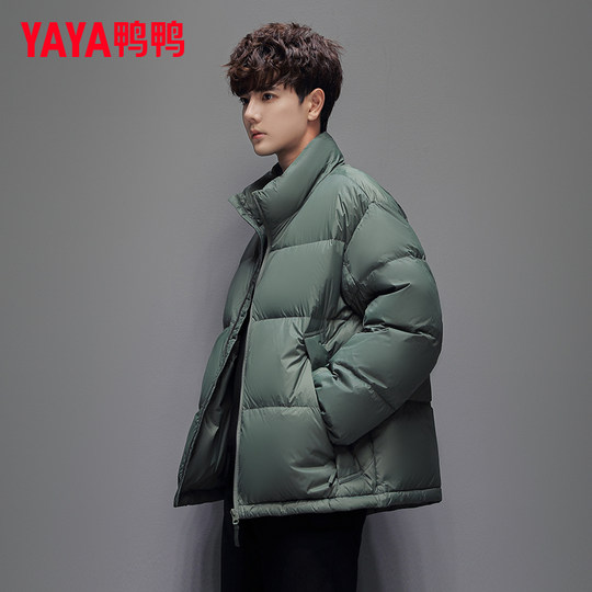 Entendaunenjacke für Herren, Wintermode, neuer Stil