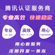 WeChat Public Number Development Set Production Tweet Typesetting Design Commercial City Catering Takeaway Small Program Little Game Source